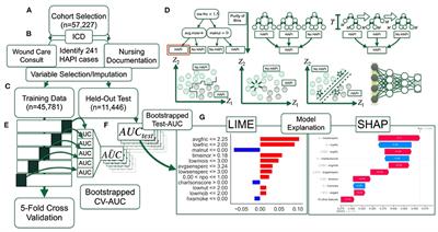 Machine Learning Approaches for Hospital Acquired Pressure Injuries: A Retrospective Study of Electronic Medical Records